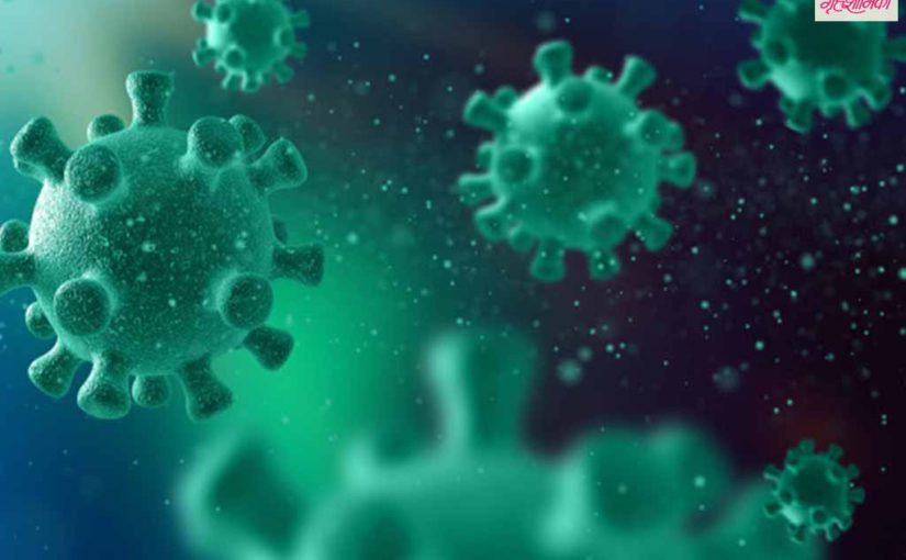 हिरवी बुरशी आणि मंकीपॉक्स व्हायरस काय आहे?