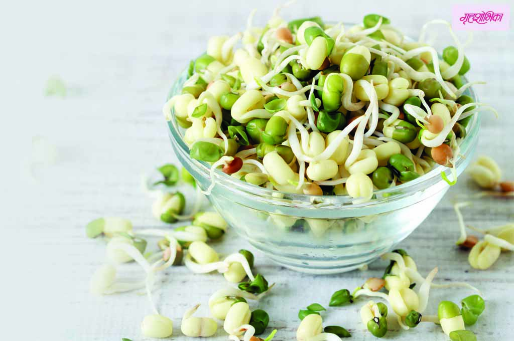 grihshobhika-health-article