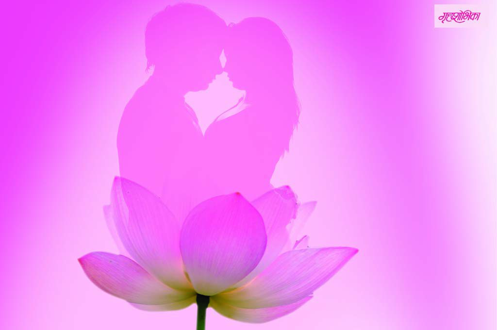 grihshobhika-society-article