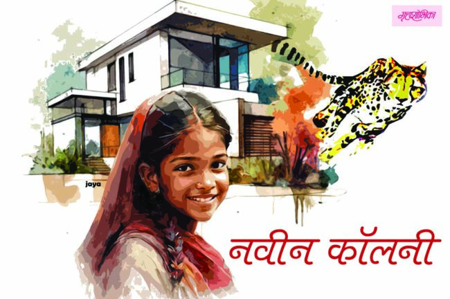 नवीन कॉलनी
