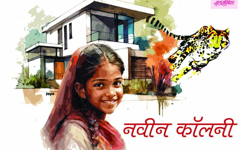 नवीन कॉलनी